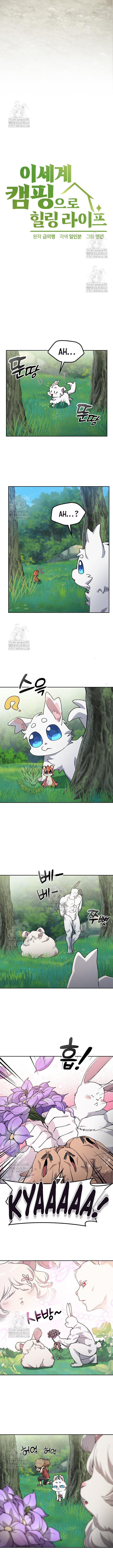 HEALING LIFE THROUGH CAMPING IN ANOTHER WORLD Chapter 81 4